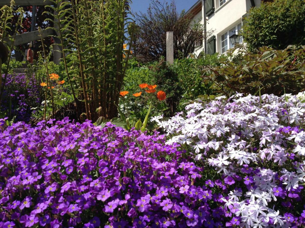 芙露姆赛山Casa Fluretta公寓 外观 照片